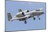 A U.S. Air Force A-10 Thunderbolt Ii-null-Mounted Photographic Print