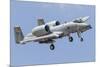 A U.S. Air Force A-10 Thunderbolt Ii-null-Mounted Photographic Print