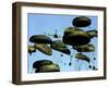 A U.S. Air Force C-17 Globemaster III Airdrops Pallets to Port-Au-Prince, Haiti-Stocktrek Images-Framed Photographic Print