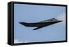 A U.S. Air Force F-117 Nighthawk-null-Framed Stretched Canvas