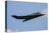 A U.S. Air Force F-117 Nighthawk-null-Stretched Canvas