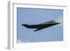 A U.S. Air Force F-117 Nighthawk-null-Framed Photographic Print