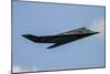 A U.S. Air Force F-117 Nighthawk-null-Mounted Photographic Print