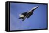 A U.S. Air Force F-15E Strike Eagle-null-Framed Stretched Canvas