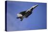 A U.S. Air Force F-15E Strike Eagle-null-Stretched Canvas