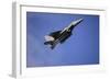 A U.S. Air Force F-15E Strike Eagle-null-Framed Photographic Print