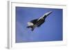 A U.S. Air Force F-15E Strike Eagle-null-Framed Photographic Print