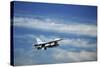 A U.S. Air Force F-16 Fighting Falcon Aircraft-null-Stretched Canvas