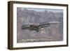 A U.S. Air Force F-16C Fighting Falcon Landing at Hill Air Force Base, Utah-Stocktrek Images-Framed Photographic Print