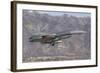 A U.S. Air Force F-16C Fighting Falcon Landing at Hill Air Force Base, Utah-Stocktrek Images-Framed Photographic Print