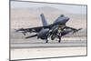 A U.S. Air Force F-16C Fighting Falcon Landing-Stocktrek Images-Mounted Photographic Print