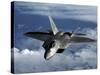 A U.S. Air Force F-22 Raptor Aircraft Flies Near Guam-Stocktrek Images-Stretched Canvas