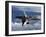 A U.S. Air Force F-22 Raptor Aircraft Flies Near Guam-Stocktrek Images-Framed Photographic Print