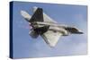 A U.S. Air Force F-22 Raptor Makes a Fast Flyby-Stocktrek Images-Stretched Canvas