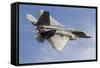 A U.S. Air Force F-22 Raptor Makes a Fast Flyby-Stocktrek Images-Framed Stretched Canvas