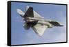 A U.S. Air Force F-22 Raptor Makes a Fast Flyby-Stocktrek Images-Framed Stretched Canvas