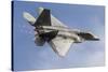 A U.S. Air Force F-22 Raptor Makes a Fast Flyby-Stocktrek Images-Stretched Canvas