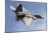 A U.S. Air Force F-22 Raptor Makes a Fast Flyby-Stocktrek Images-Mounted Photographic Print