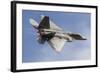 A U.S. Air Force F-22 Raptor Makes a Fast Flyby-Stocktrek Images-Framed Photographic Print