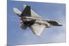 A U.S. Air Force F-22 Raptor Makes a Fast Flyby-Stocktrek Images-Mounted Photographic Print