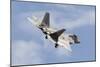 A U.S. Air Force F-22 Raptor Prepares for Landing-Stocktrek Images-Mounted Photographic Print