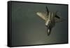 A U.S. Air Force F-22 Raptor-null-Framed Stretched Canvas