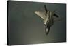 A U.S. Air Force F-22 Raptor-null-Stretched Canvas