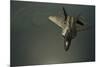 A U.S. Air Force F-22 Raptor-null-Mounted Photographic Print