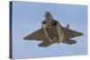 A U.S. Air Force F-22 Raptor-Stocktrek Images-Stretched Canvas