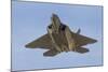 A U.S. Air Force F-22 Raptor-Stocktrek Images-Mounted Photographic Print