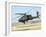 A U.S. Army AH-64D Longbow Apache-Stocktrek Images-Framed Photographic Print