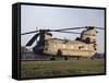 A U.S. Army CH-47F Chinook Helicopter-Stocktrek Images-Framed Stretched Canvas
