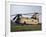 A U.S. Army CH-47F Chinook Helicopter-Stocktrek Images-Framed Photographic Print