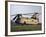 A U.S. Army CH-47F Chinook Helicopter-Stocktrek Images-Framed Photographic Print