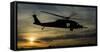 A U.S. Army Uh-60 Black Hawk Leaves the Drop Zone-Stocktrek Images-Framed Stretched Canvas