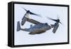 A U.S. Marine Corps V-22 Osprey Flies over Santa Rosa, California-Stocktrek Images-Framed Stretched Canvas