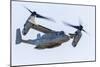 A U.S. Marine Corps V-22 Osprey Flies over Santa Rosa, California-Stocktrek Images-Mounted Photographic Print