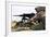 A U.S. Marine Fires an M2 .50 Caliber Machine Gun-null-Framed Photographic Print