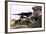 A U.S. Marine Fires an M2 .50 Caliber Machine Gun-null-Framed Photographic Print