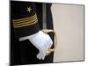 A U.S. Naval Academy Midshipman Stands at Attention-Stocktrek Images-Mounted Photographic Print