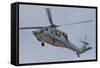 A U.S. Navy MH-60S Seahawk in Flight over Coronado, California-null-Framed Stretched Canvas