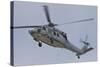 A U.S. Navy MH-60S Seahawk in Flight over Coronado, California-null-Stretched Canvas