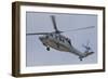 A U.S. Navy MH-60S Seahawk in Flight over Coronado, California-null-Framed Photographic Print