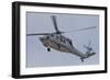 A U.S. Navy MH-60S Seahawk in Flight over Coronado, California-null-Framed Photographic Print