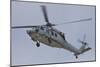 A U.S. Navy MH-60S Seahawk in Flight over Coronado, California-null-Mounted Photographic Print