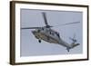 A U.S. Navy MH-60S Seahawk in Flight over Coronado, California-null-Framed Photographic Print