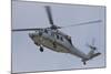 A U.S. Navy MH-60S Seahawk in Flight over Coronado, California-null-Mounted Photographic Print