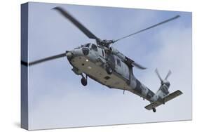 A U.S. Navy MH-60S Seahawk in Flight over Coronado, California-null-Stretched Canvas