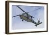 A U.S. Navy MH-60S Seahawk in Flight over Coronado, California-null-Framed Photographic Print