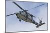 A U.S. Navy MH-60S Seahawk in Flight over Coronado, California-null-Mounted Photographic Print
